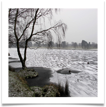 Tatton Winter View 04-02-2012 - Helen Kulczycki